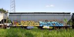 NDYX 515548
